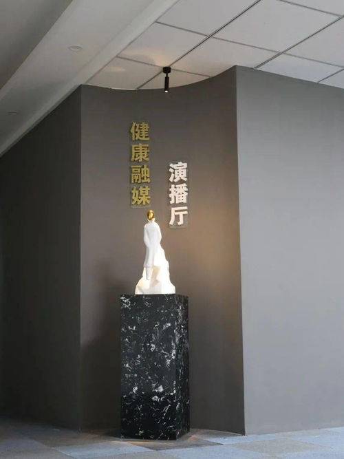 健康融媒演播廳正式上線 唱響健康好聲音，探索工藝美術品零售新方向